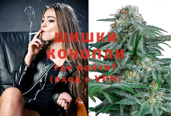 гашик Волосово