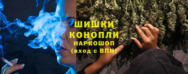 сатива Володарск