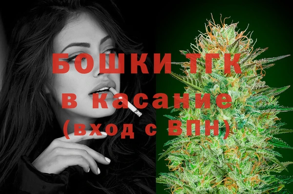 сатива Володарск