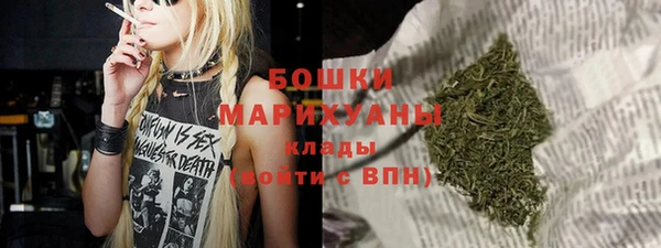 сатива Володарск