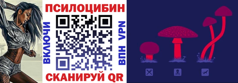 Псилоцибиновые грибы прущие грибы  наркотики  Ноябрьск 